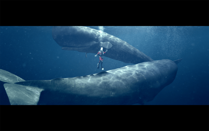 Turkish Airlines invites you on a journey of discovery with its “Five Senses” campaign (3).png